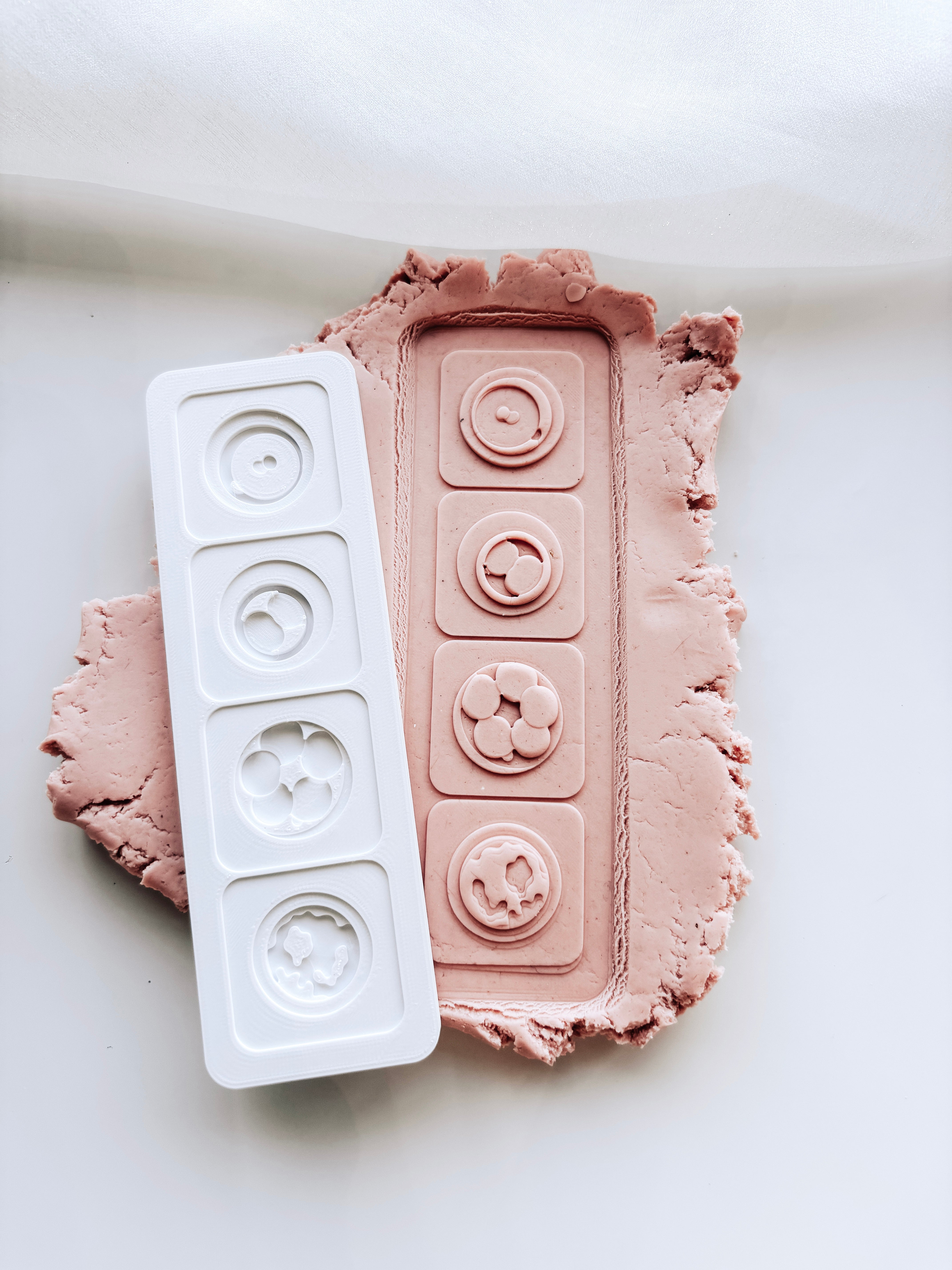 Microscopic embryo stages stamp and cutter