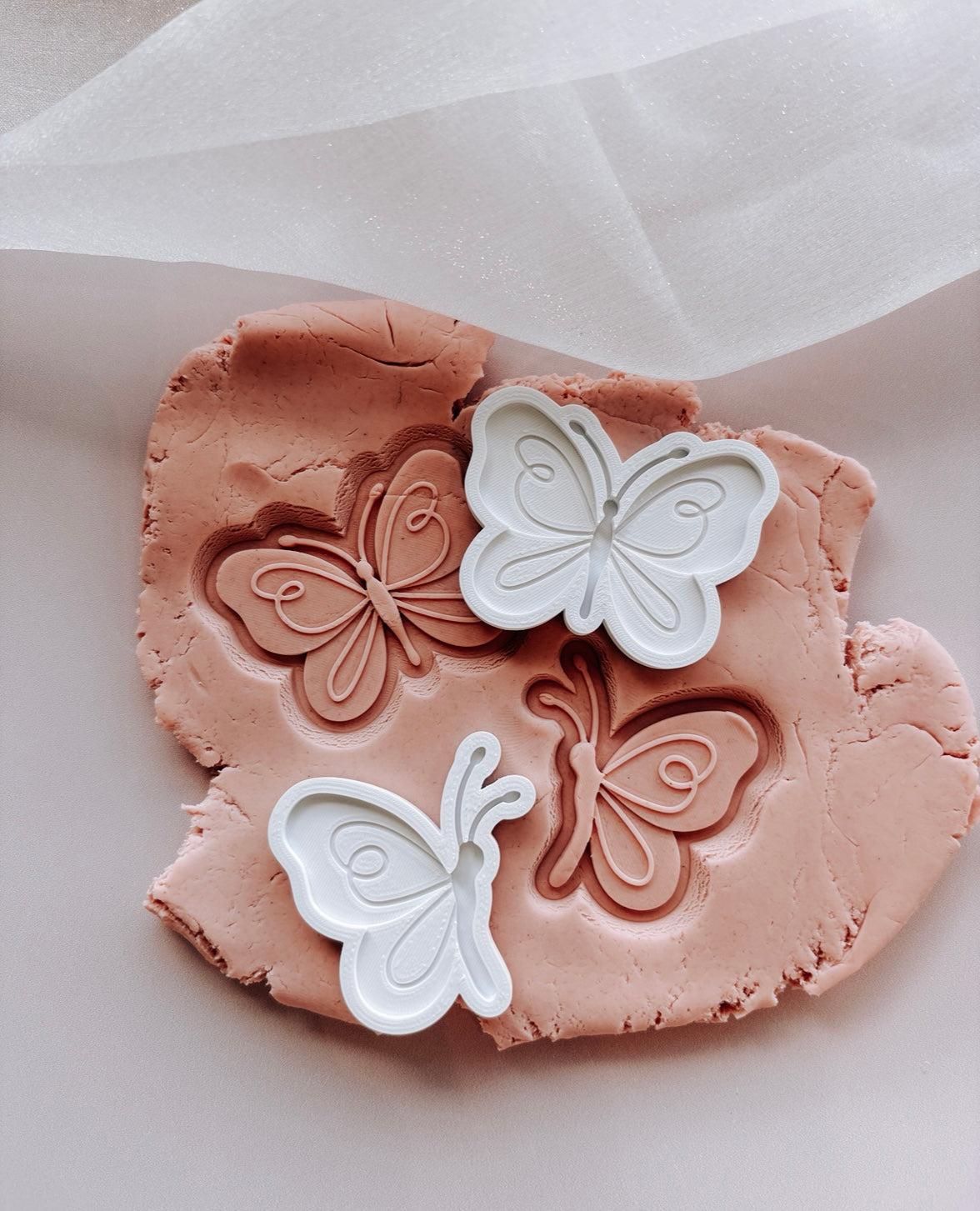 Beautiful mini Butterfly set of 2 Cookie Stamp
