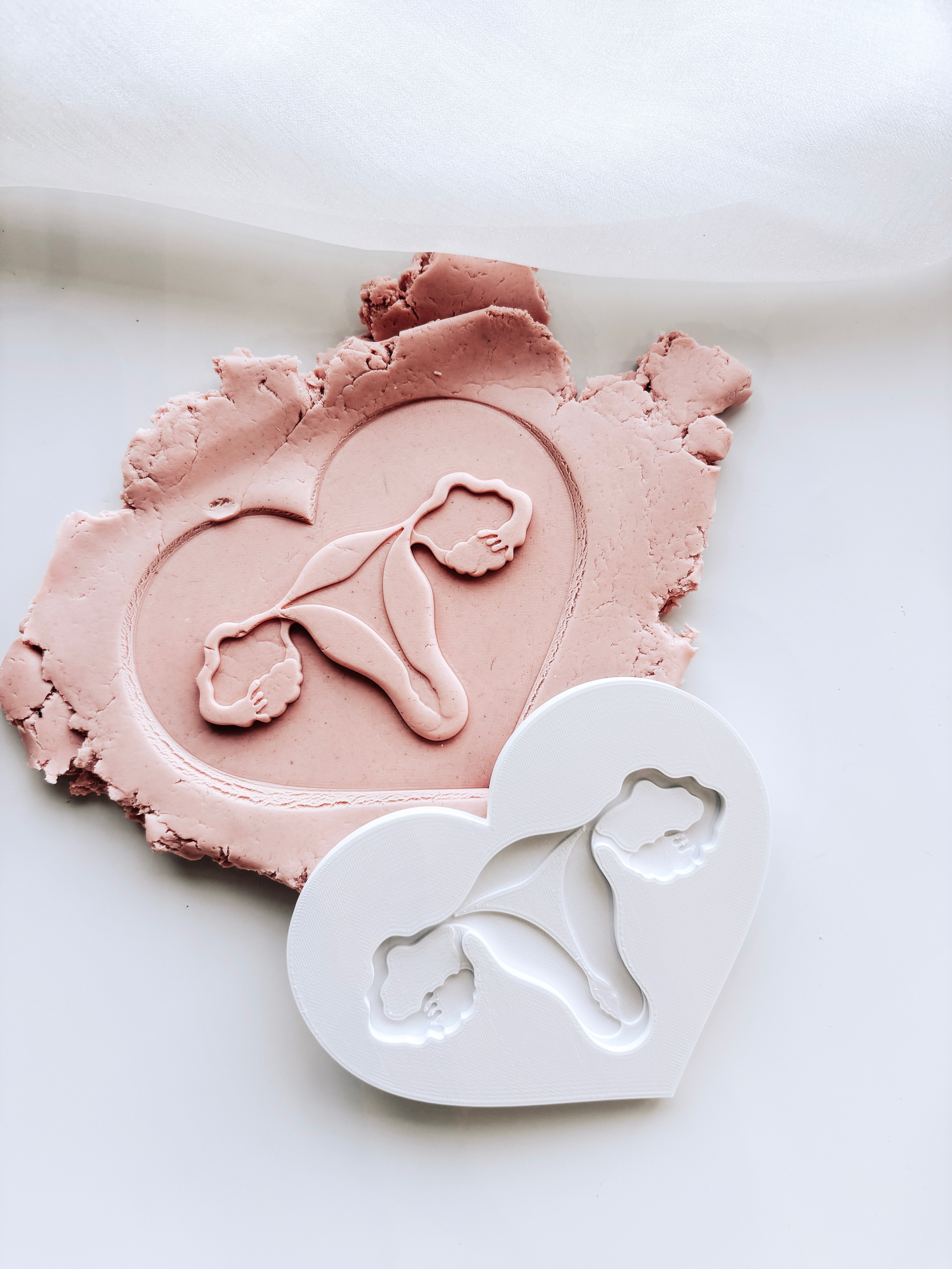 Ovaries in heart stamp and cutter