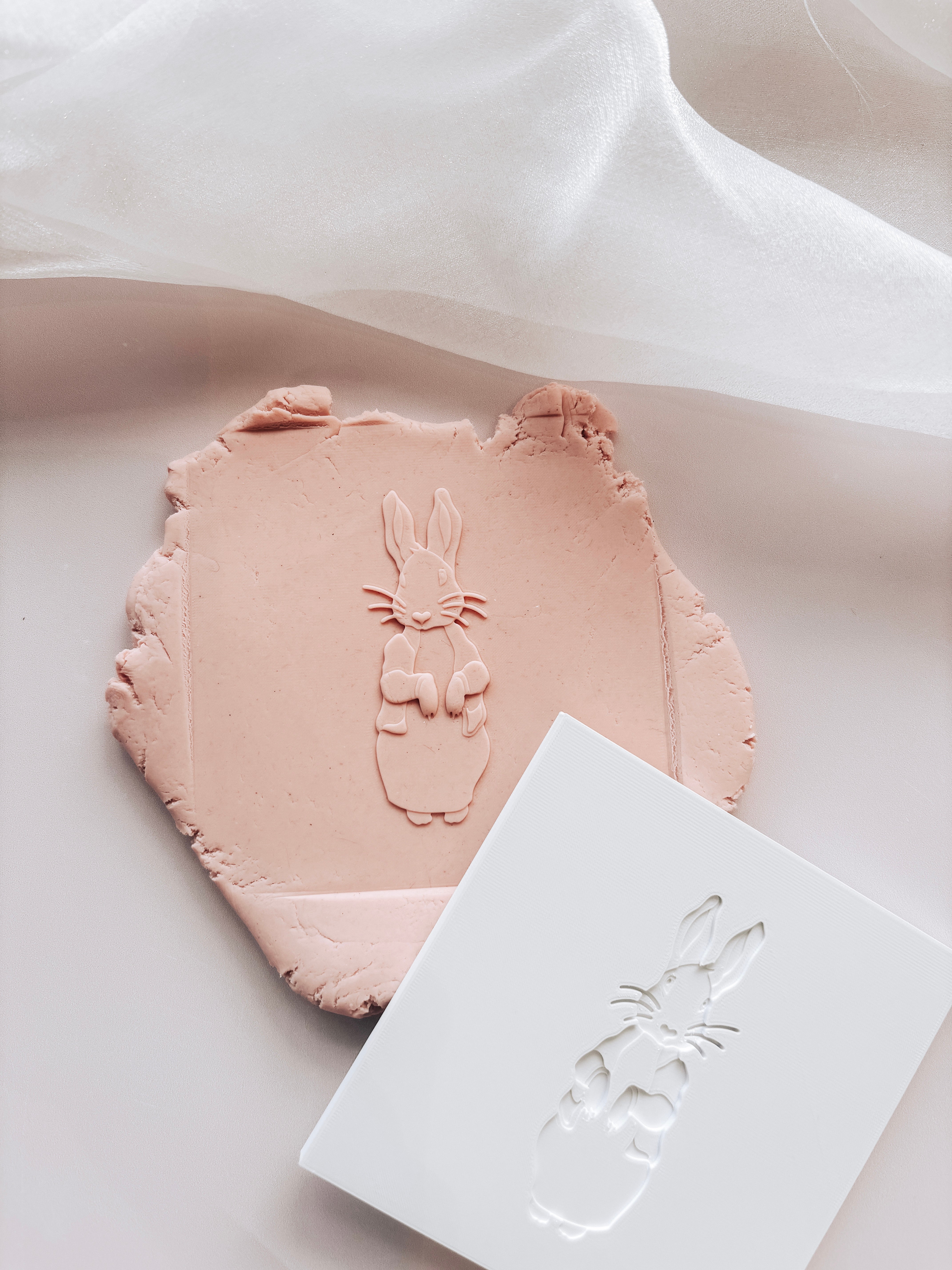 Peter rabbit on plate to use with a range of cutters