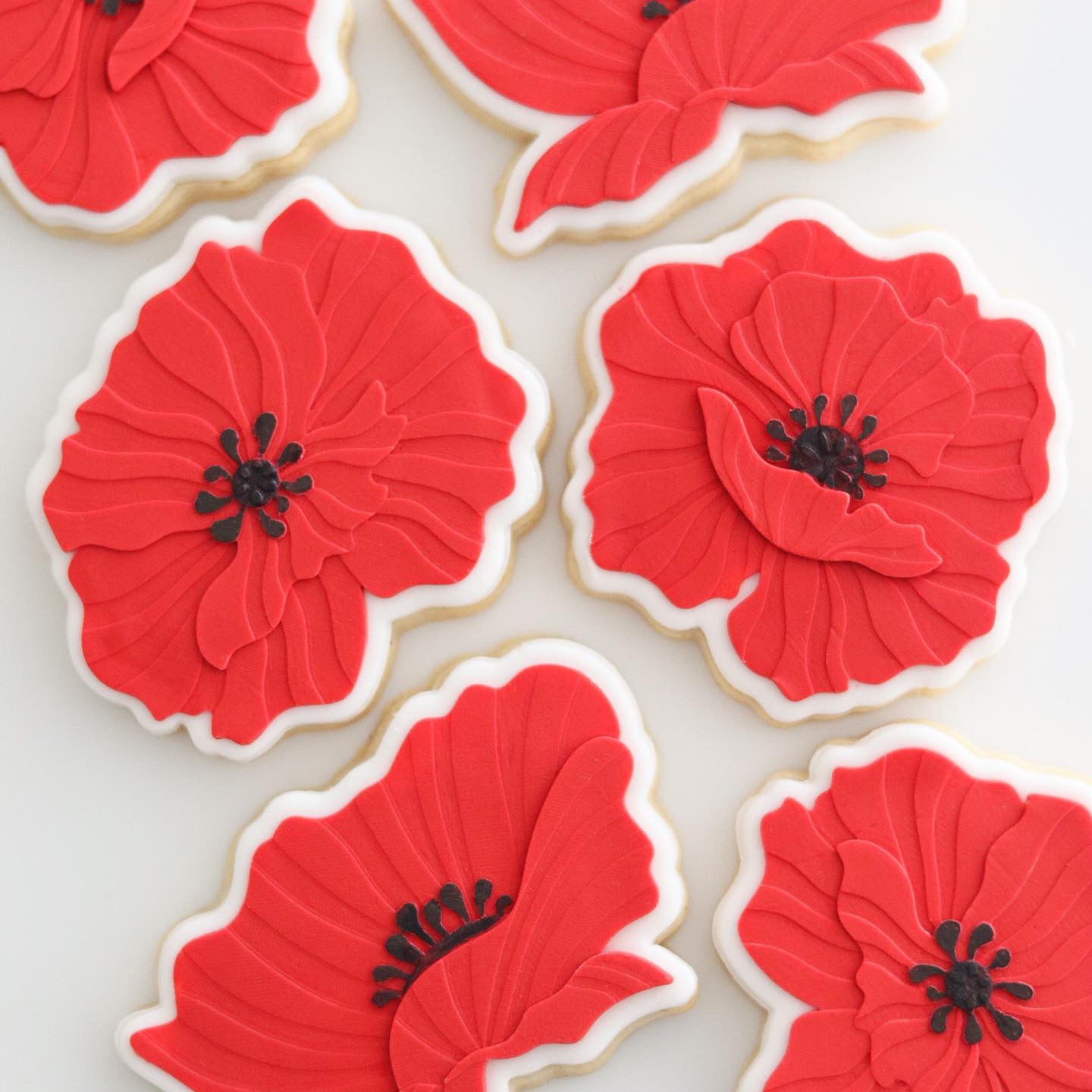 Poppy flower set of 3 debosser and cutters