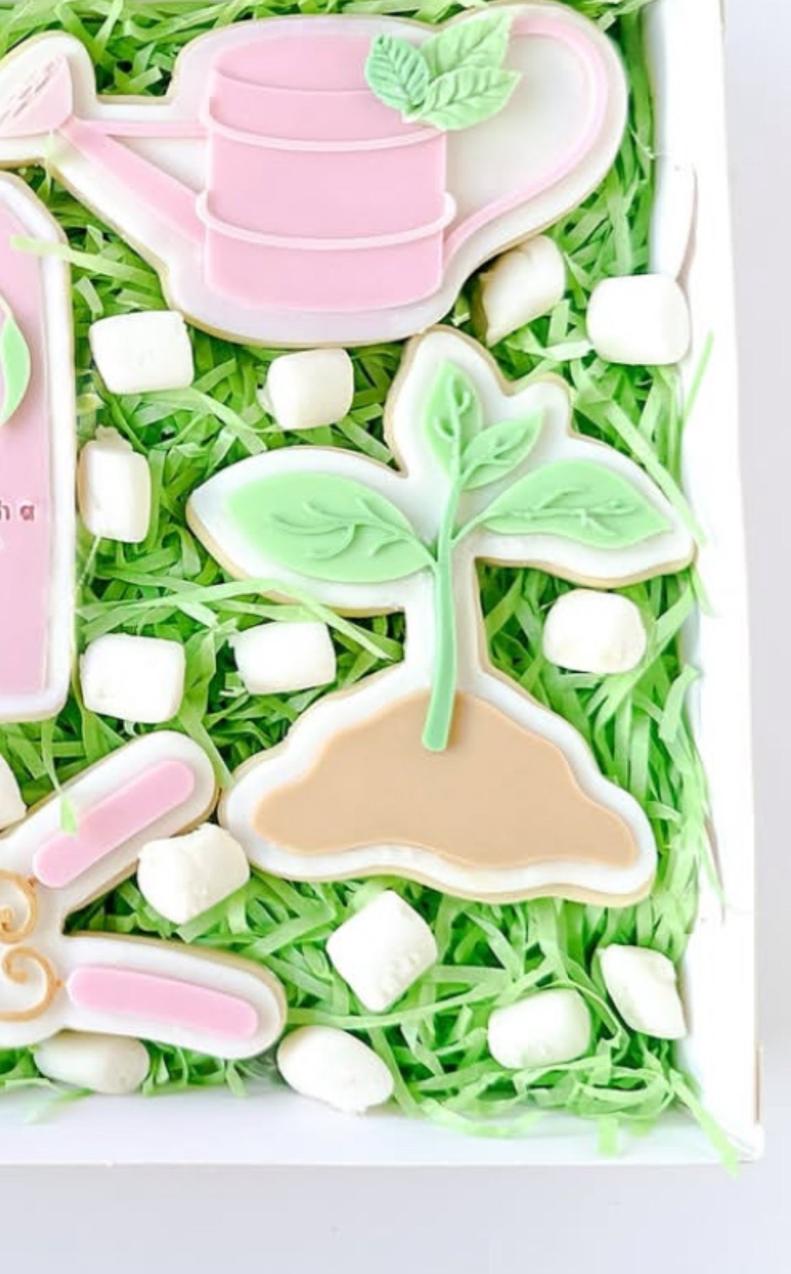 Seedling in soil Stamp & Cutter