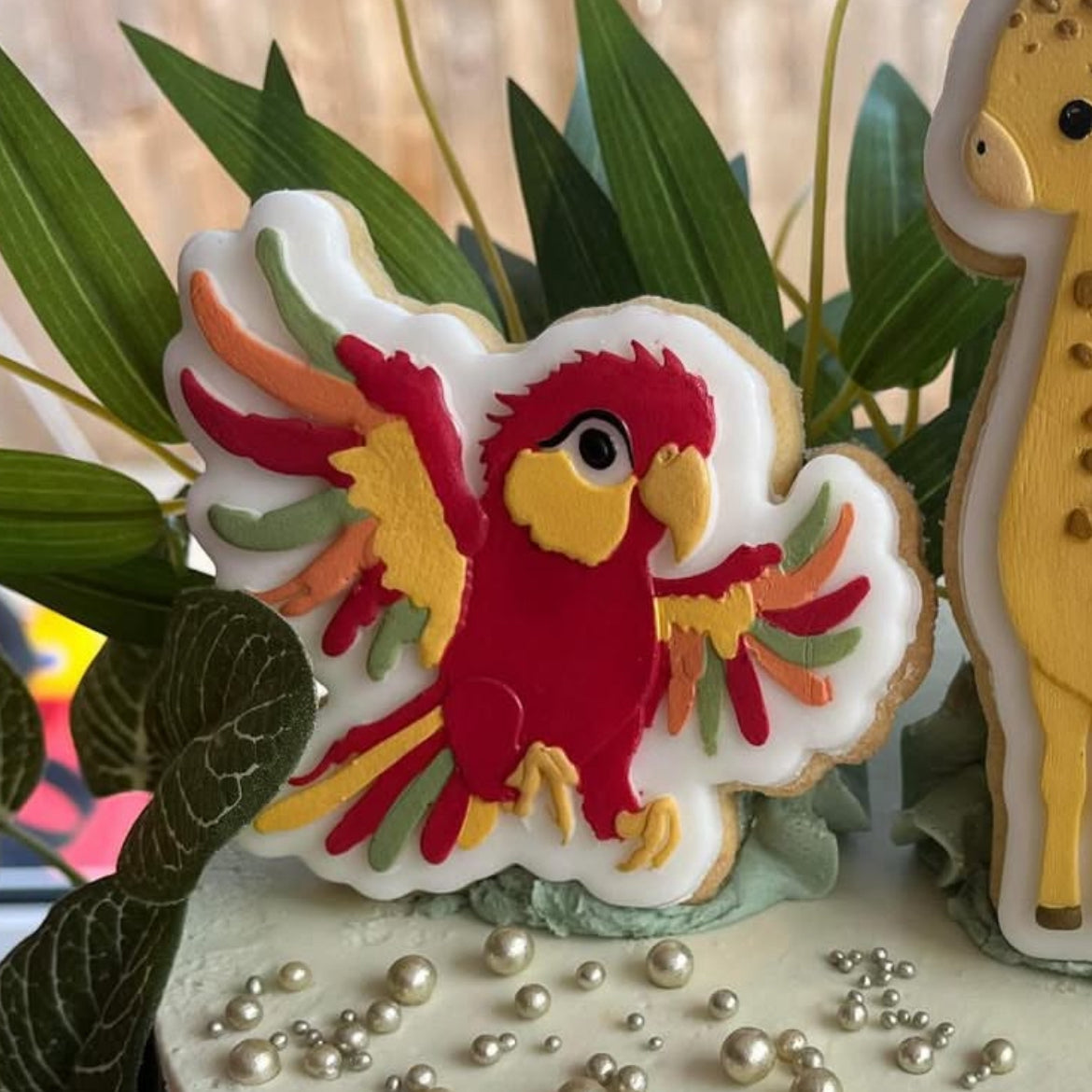 Cute Macaw debosser and cutter
