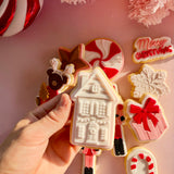 NEW Christmas house with window details