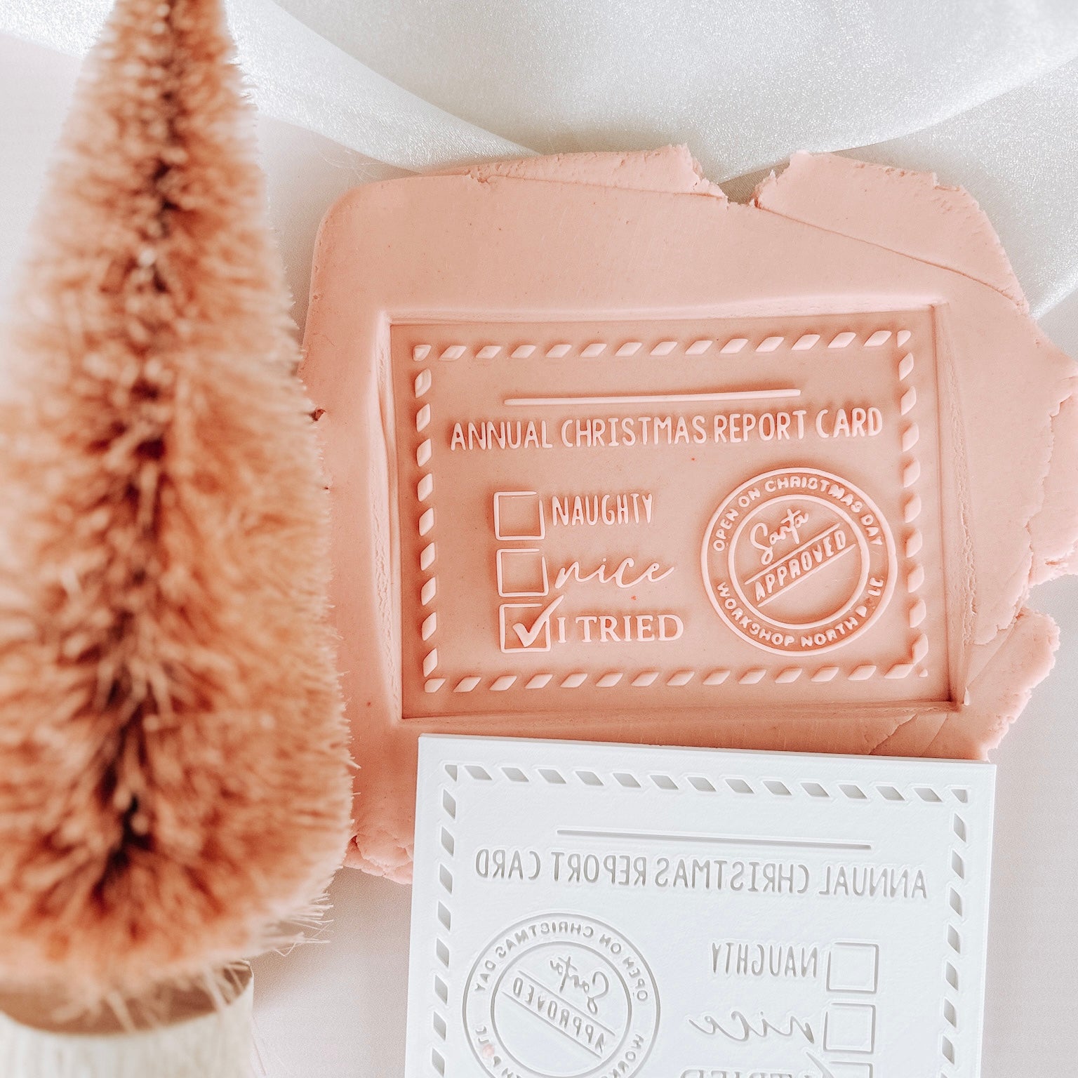 Annual Christmas Report Card Cookie Stamp and Cutter