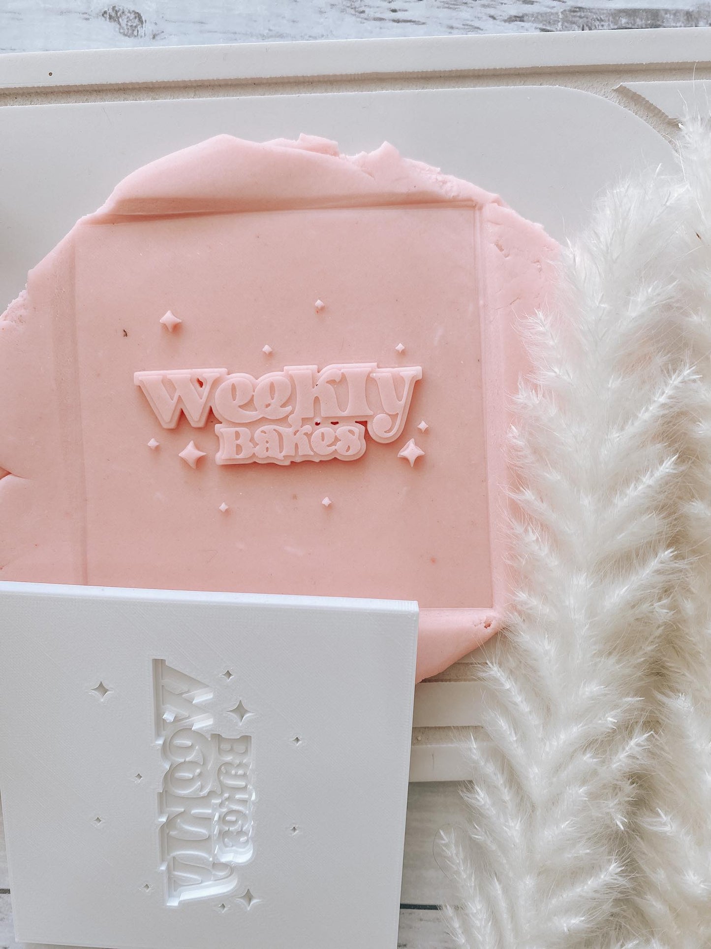 CUSTOM logo cookie stamp