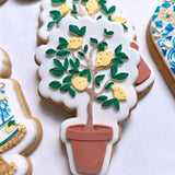 Lemon tree in pot debosser and cutter