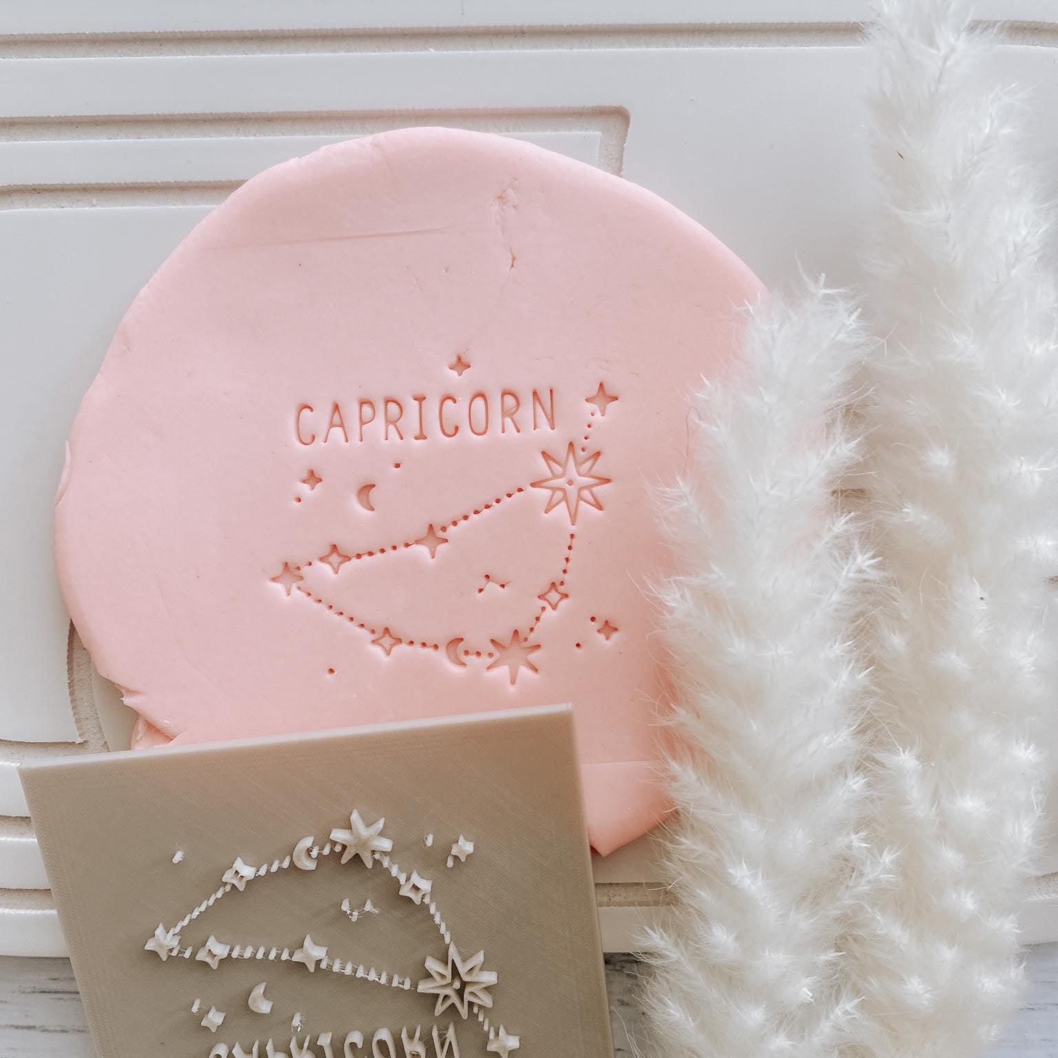 Star map - CAPRICORN