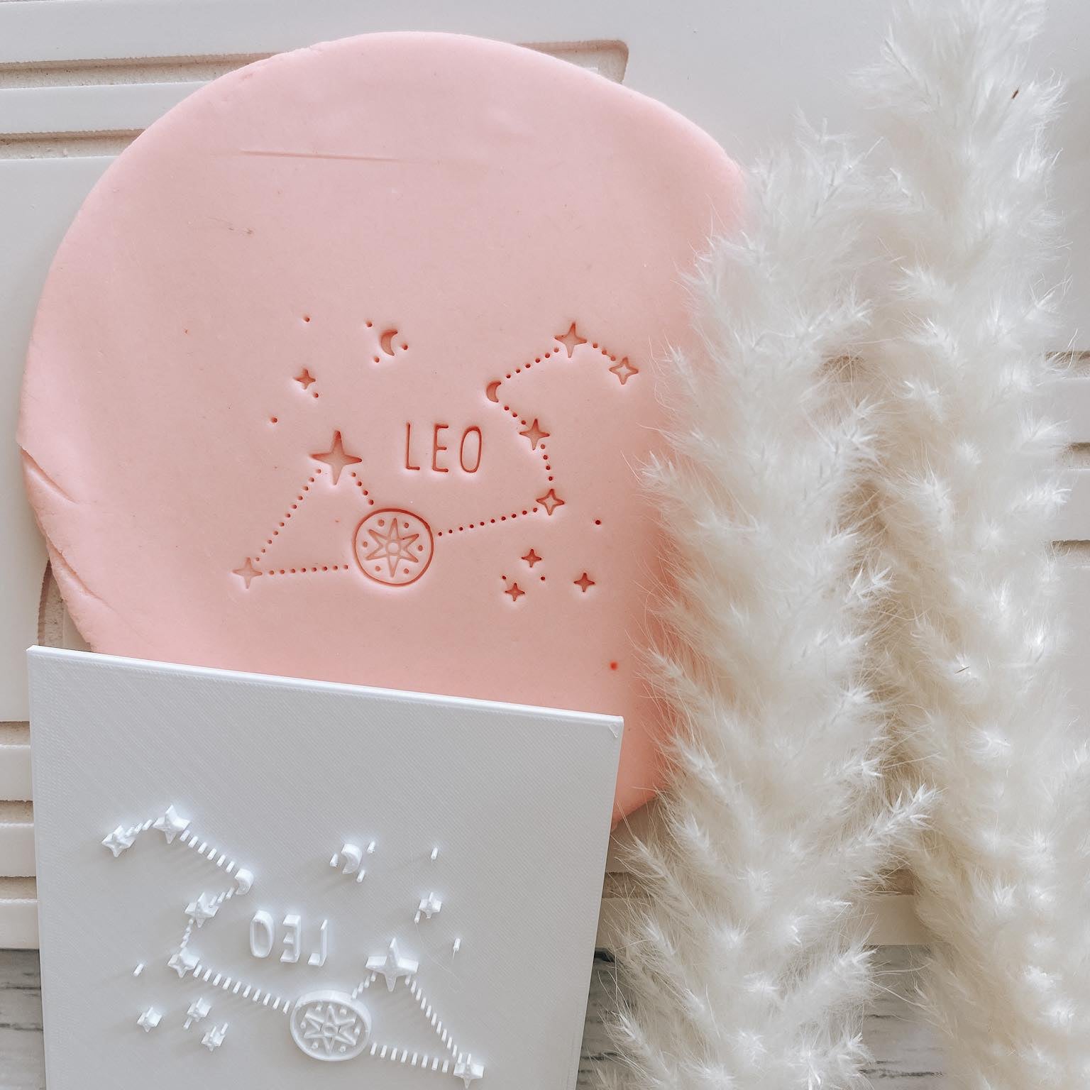 Star map - LEO