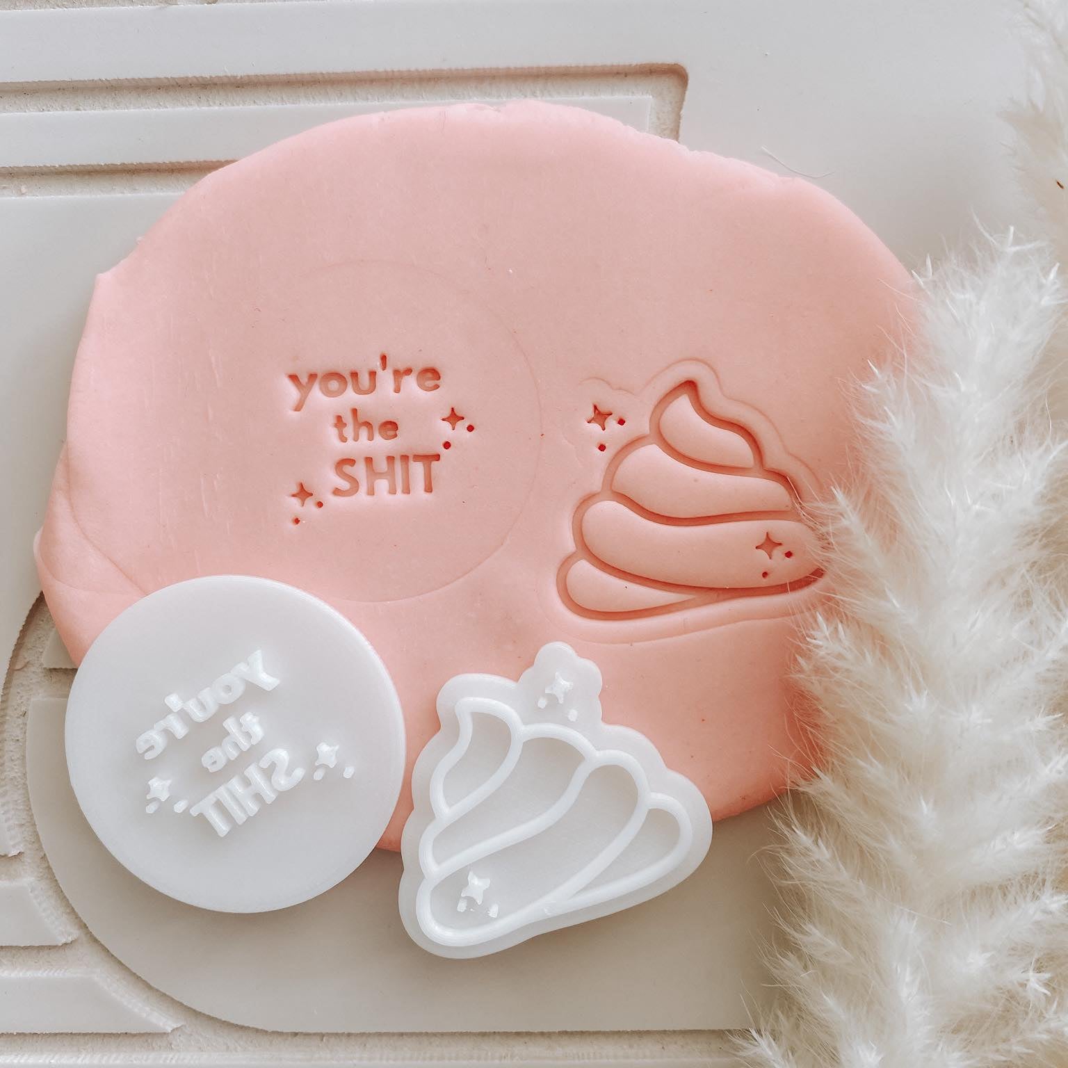 You’re the shit mini set of 2